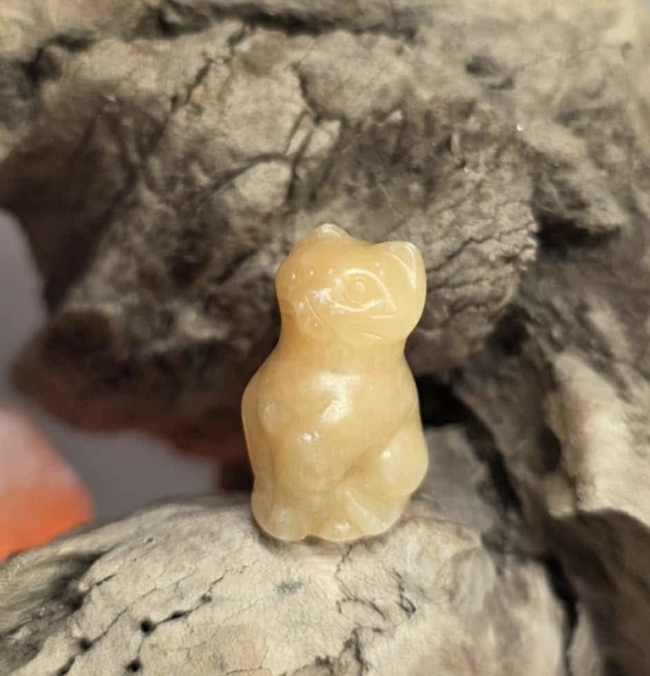 Chat en calcite jaune