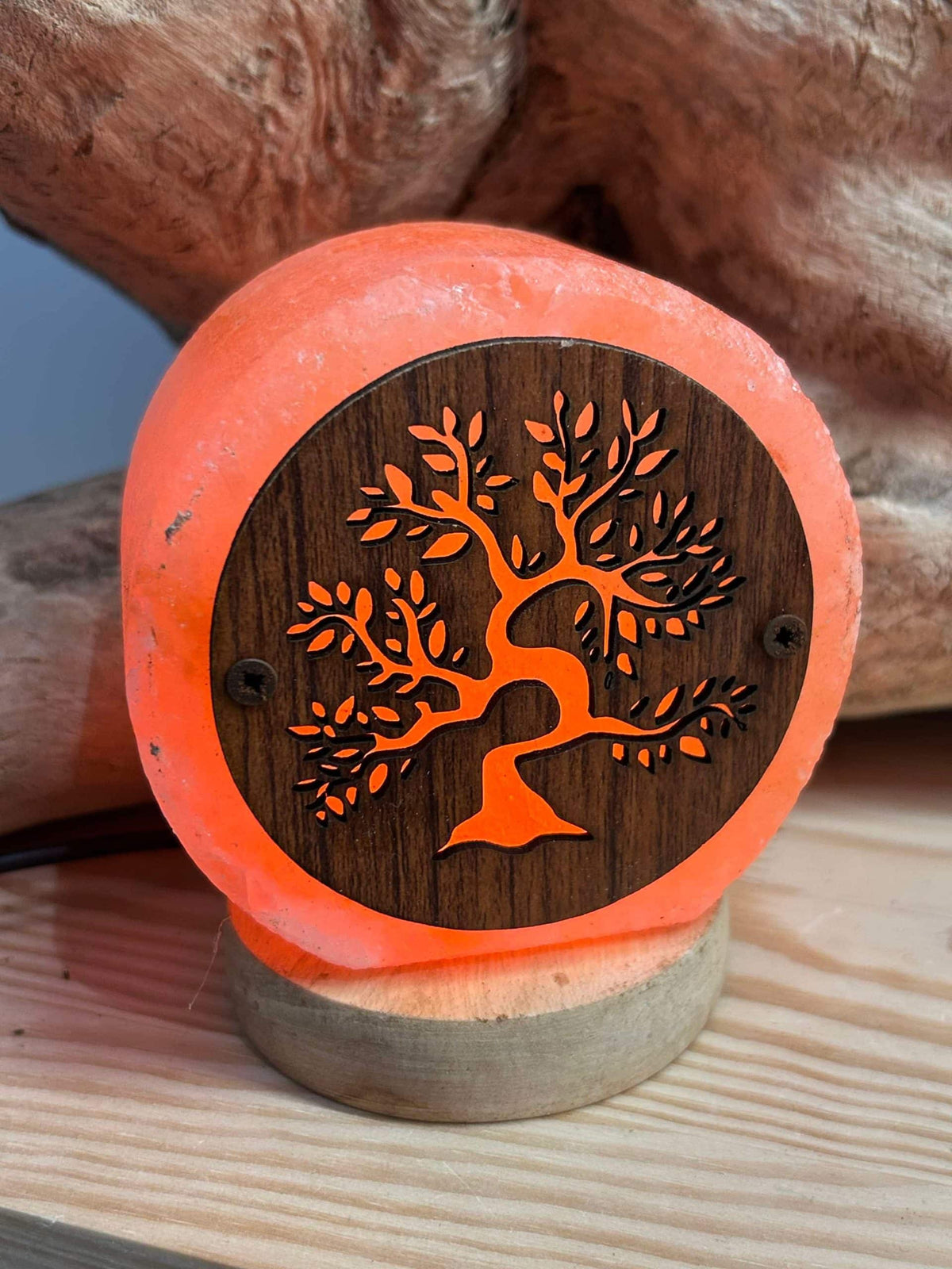 Lampe Veilleuse en sel arbre de vie