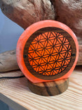Lampe Veilleuse en sel fleur de vie