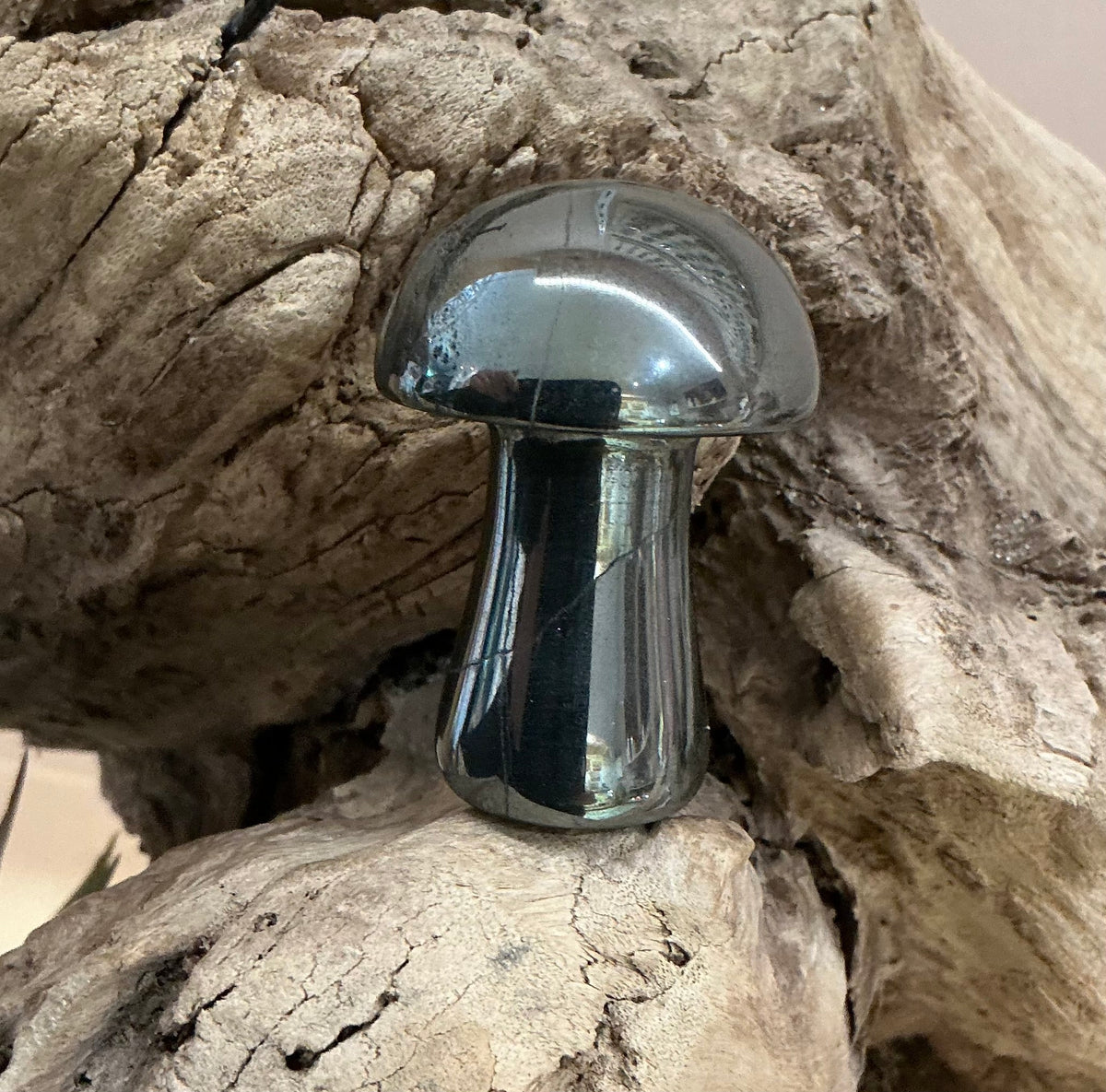 Champignons hématite