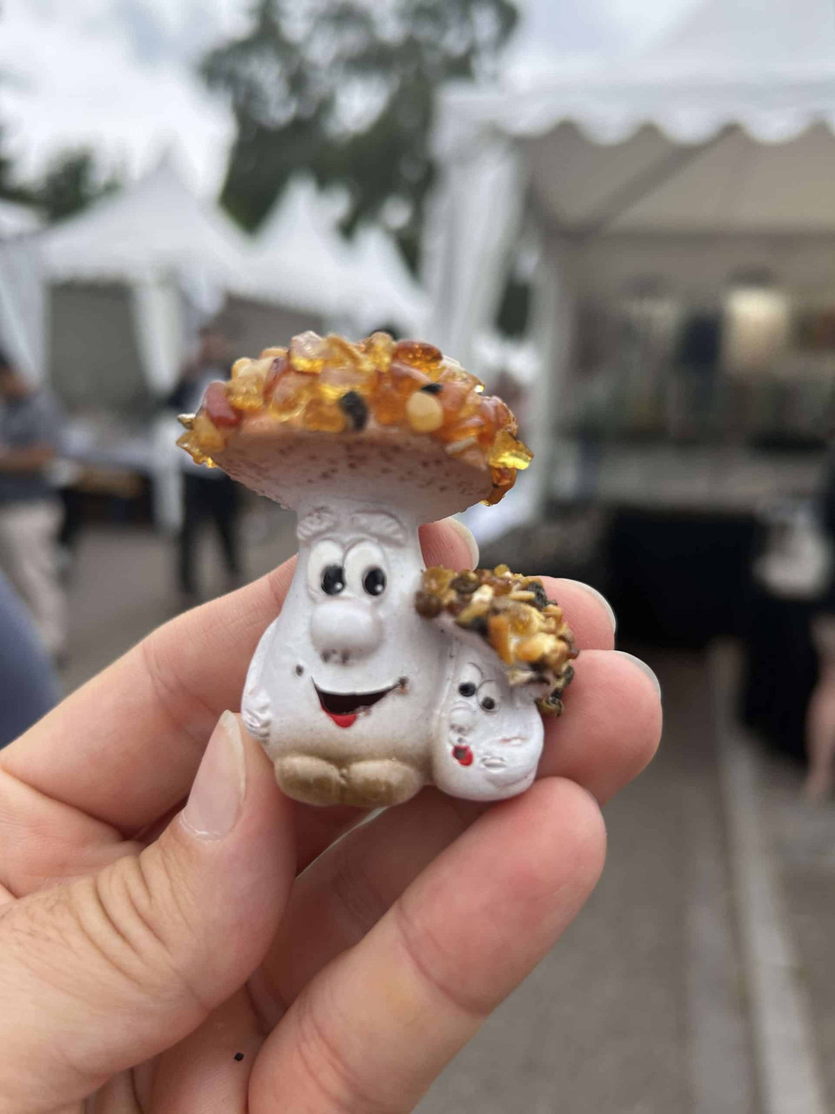 Champignon ambre