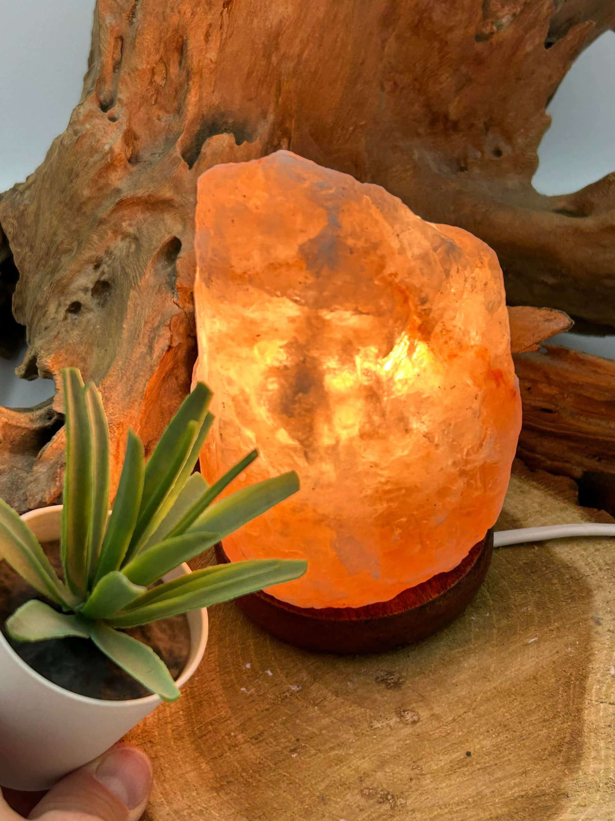 Lampe sel brut