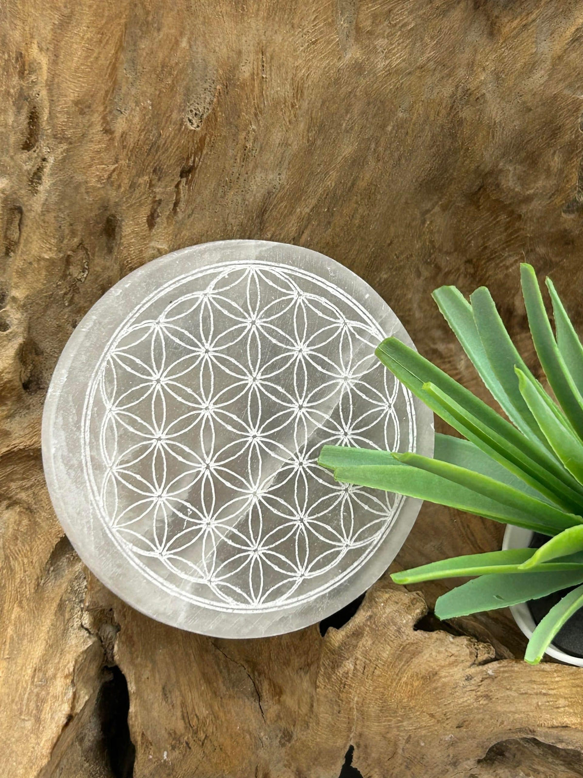 Plaque ronde en Sélénite – Fleur de Vie pour sommeil paisible et rechargement