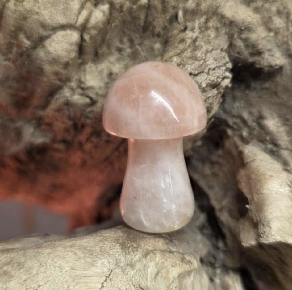 Mini champignon de massage